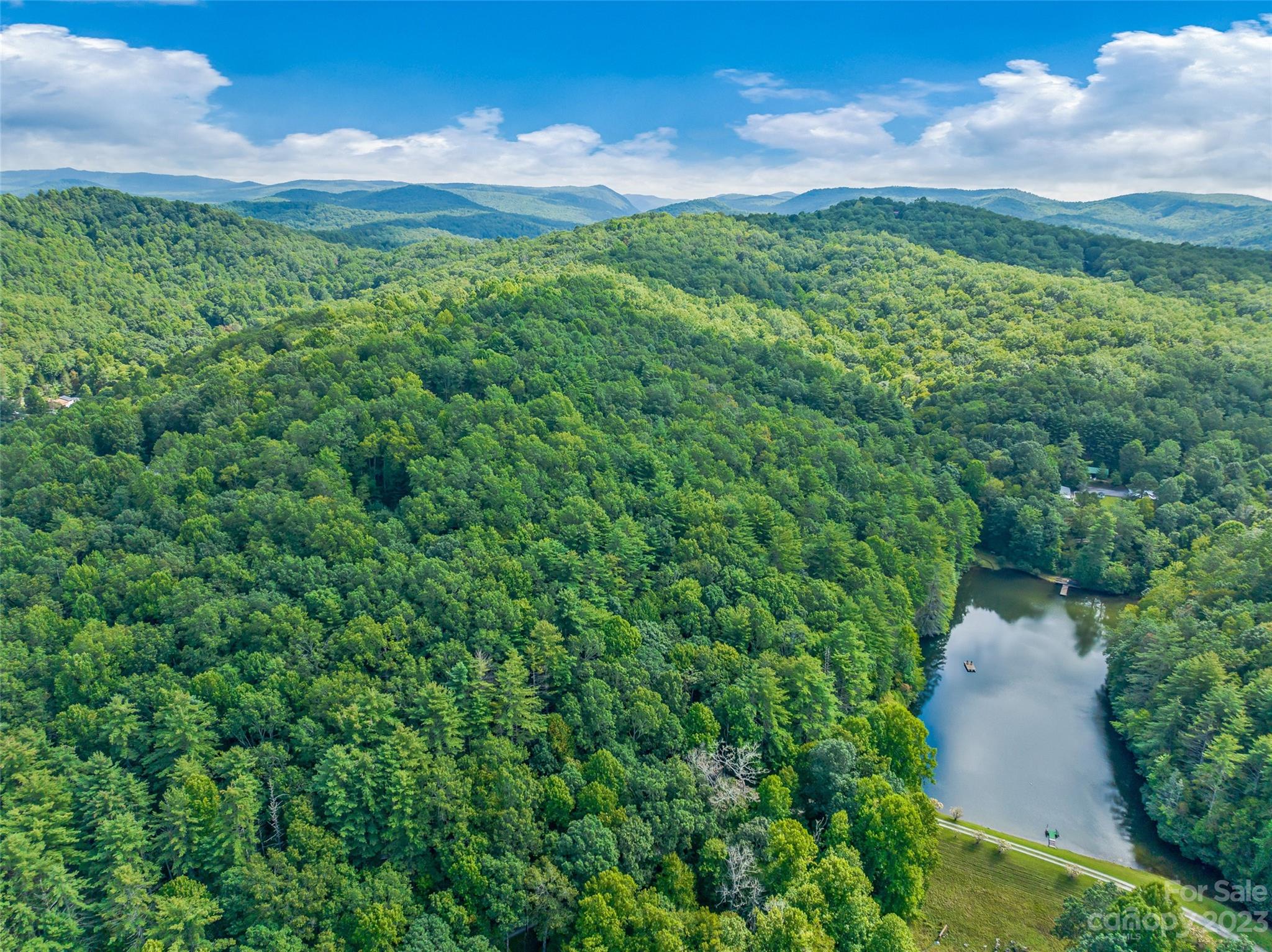 1830 Reasonover Road Cedar Mountain, NC 28718 - Photo 41 of 46 Gallery Image 41