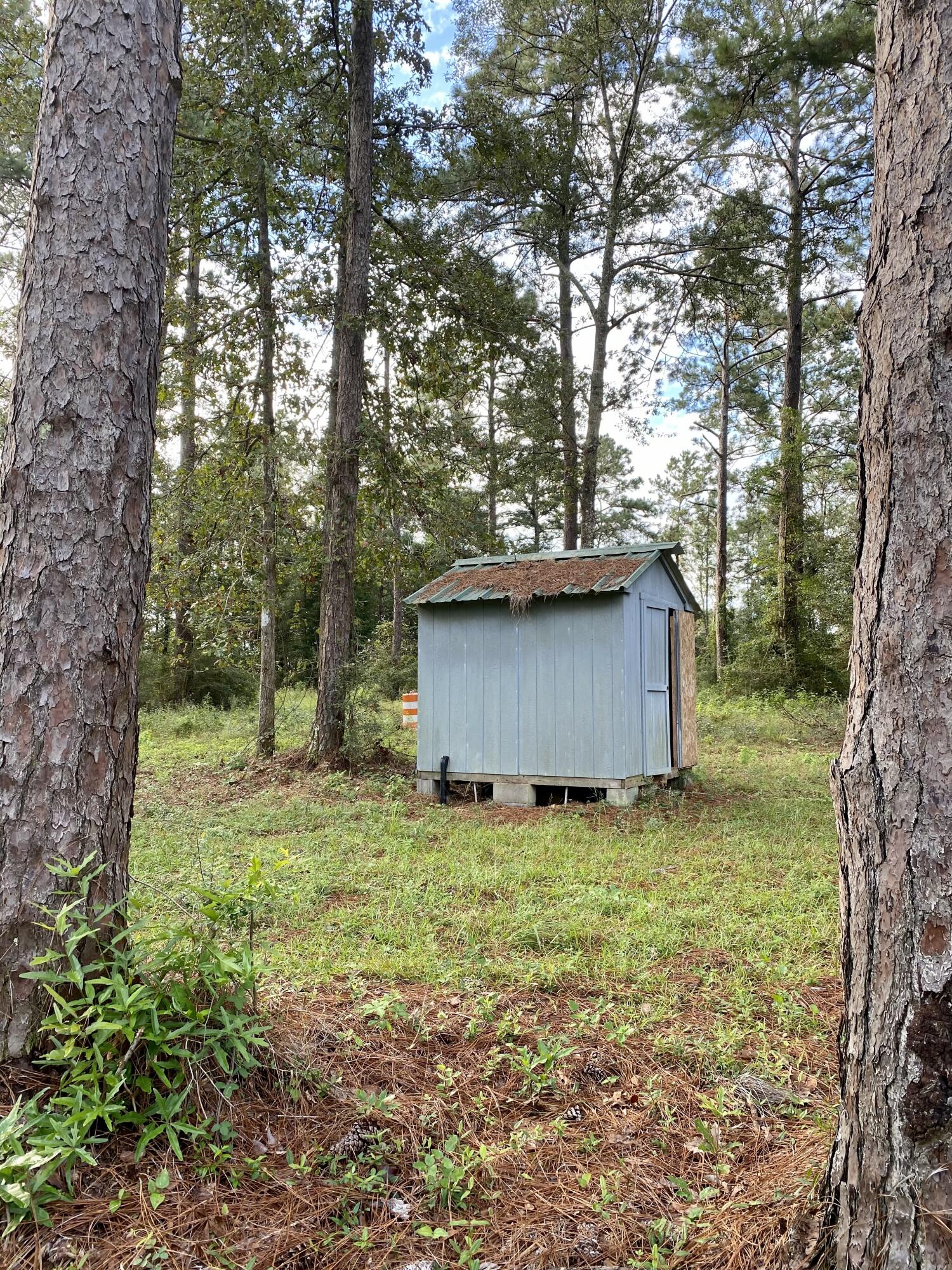 52 Ambrose Road Carriere, MS 39426 - Photo 13 of 21 IMG_5738