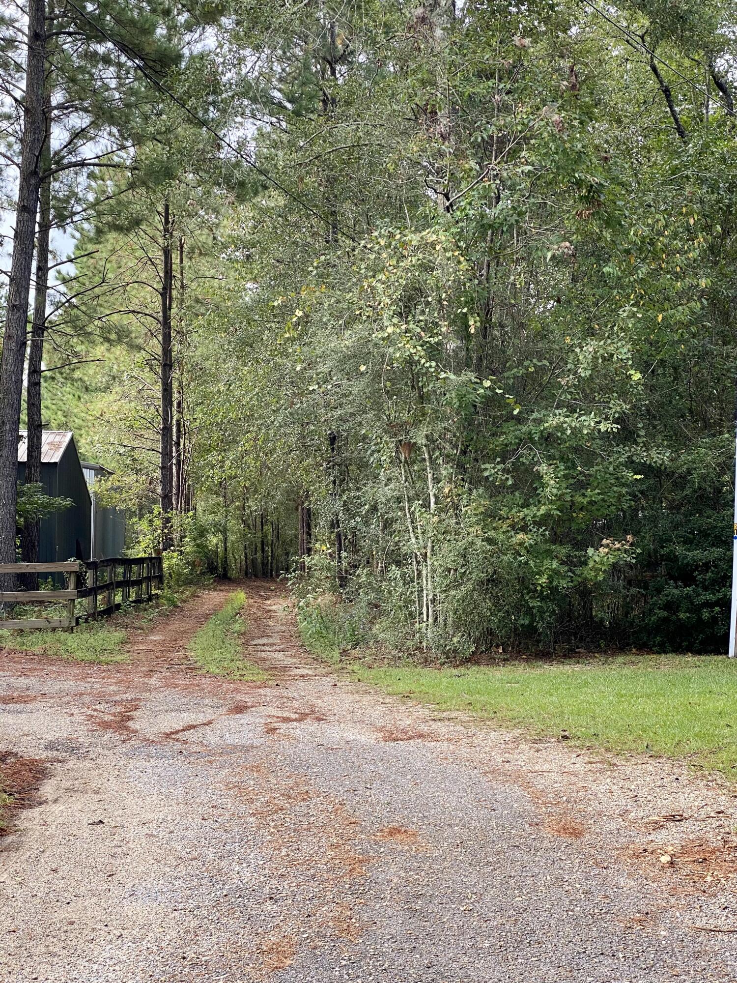 52 Ambrose Road Carriere, MS 39426 - Photo 20 of 21 IMG_5747