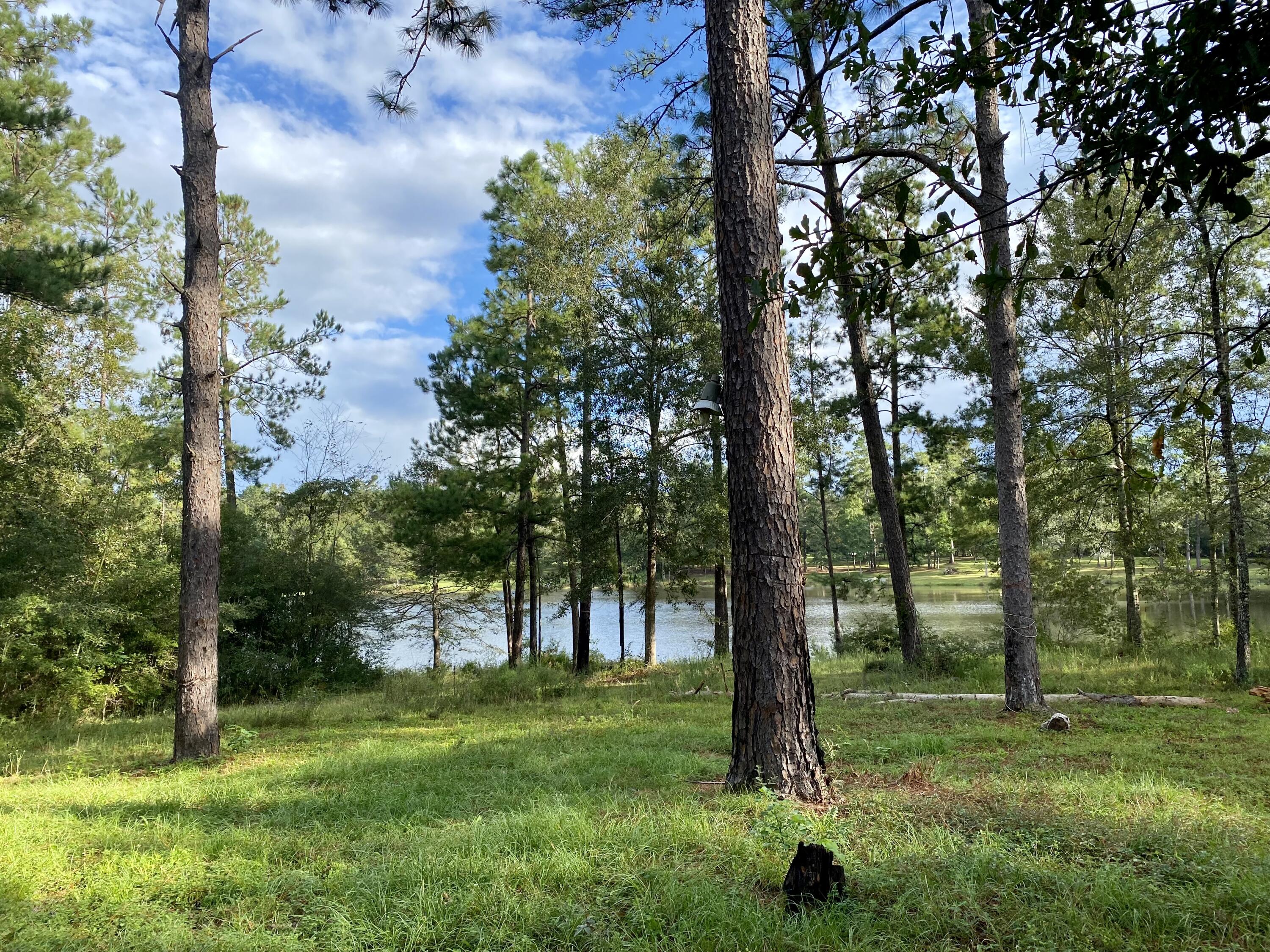 52 Ambrose Road Carriere, MS 39426 - Photo 2 of 21 IMG_5726