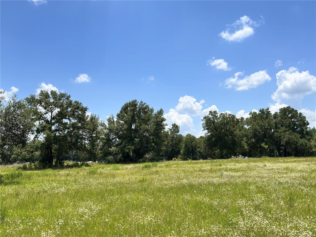 265 Southwest Skyline Loop Fort White, FL 32038 - Photo 21 of 78 Gallery Image 21