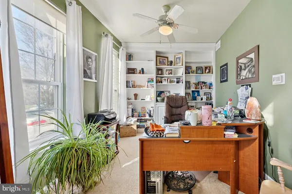 a living room with furniture a rug and a potted plant