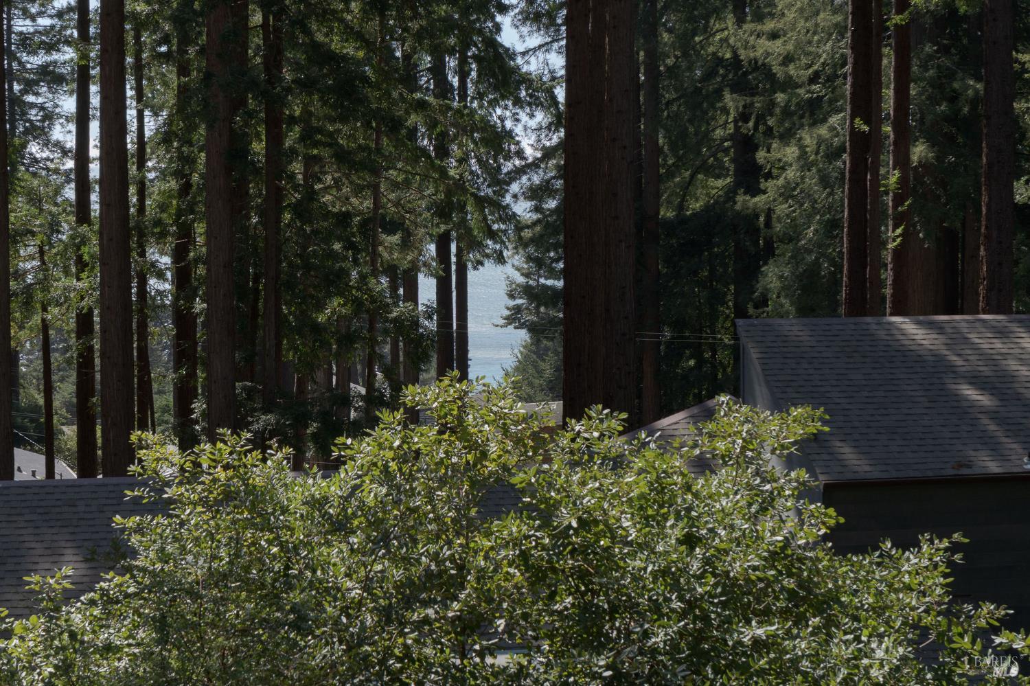 35570 Ocean View Street Gualala, CA 95445 - Photo 20 of 52 a view of a garden