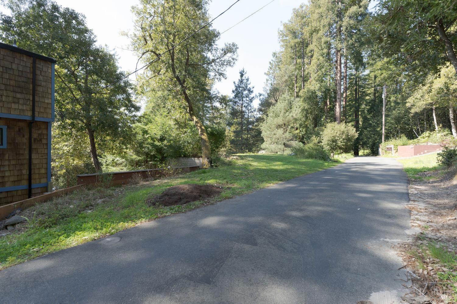 35570 Ocean View Street Gualala, CA 95445 - Photo 29 of 52 a view of a yard with large trees