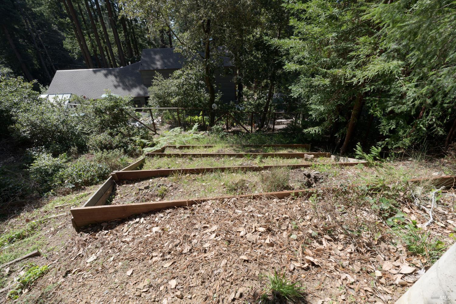 35570 Ocean View Street Gualala, CA 95445 - Photo 48 of 52 a view of a yard with large trees