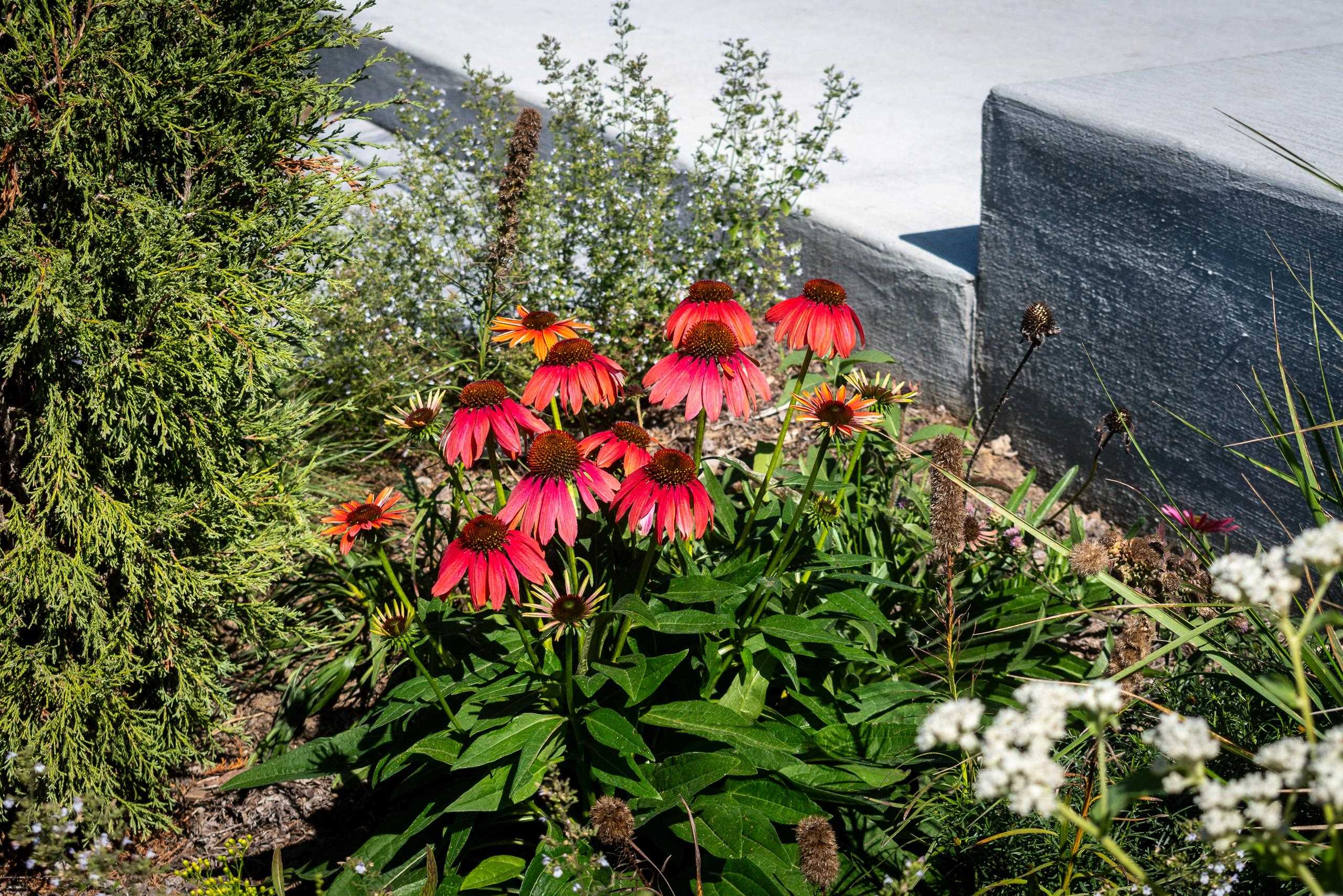 4043 Serenbe Middleton, WI 53562 - Photo 52 of 52