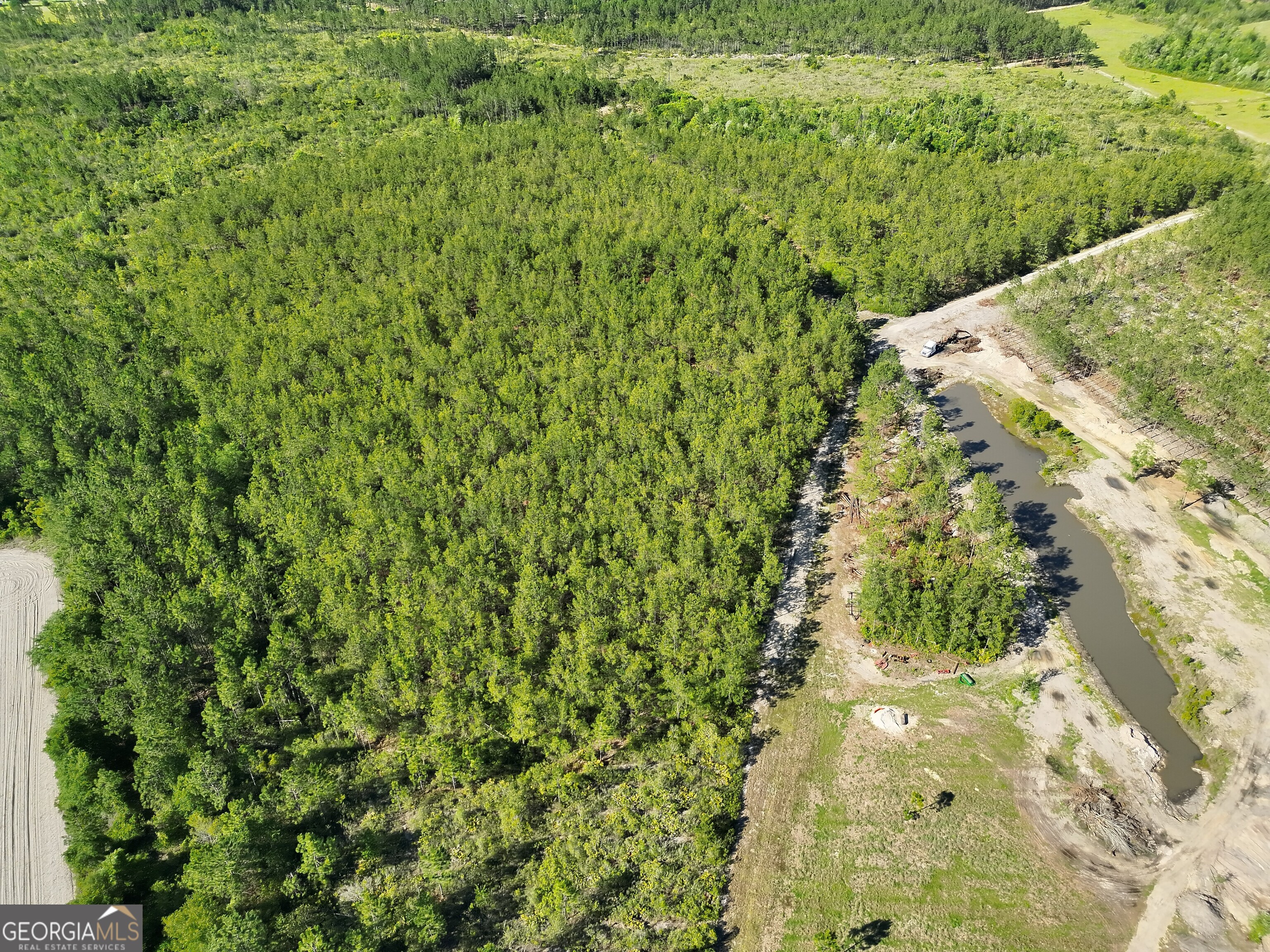23.68-acres Quick Draw Road Millwood, GA 31552 - Photo 3 of 11