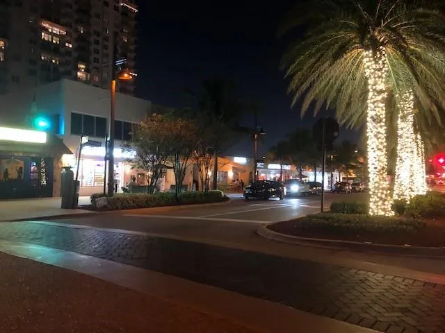 a front view of a building with garden