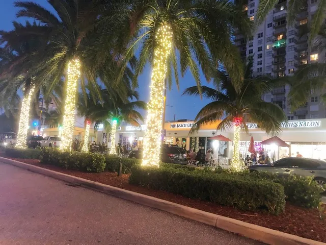 a front view of a house with trees