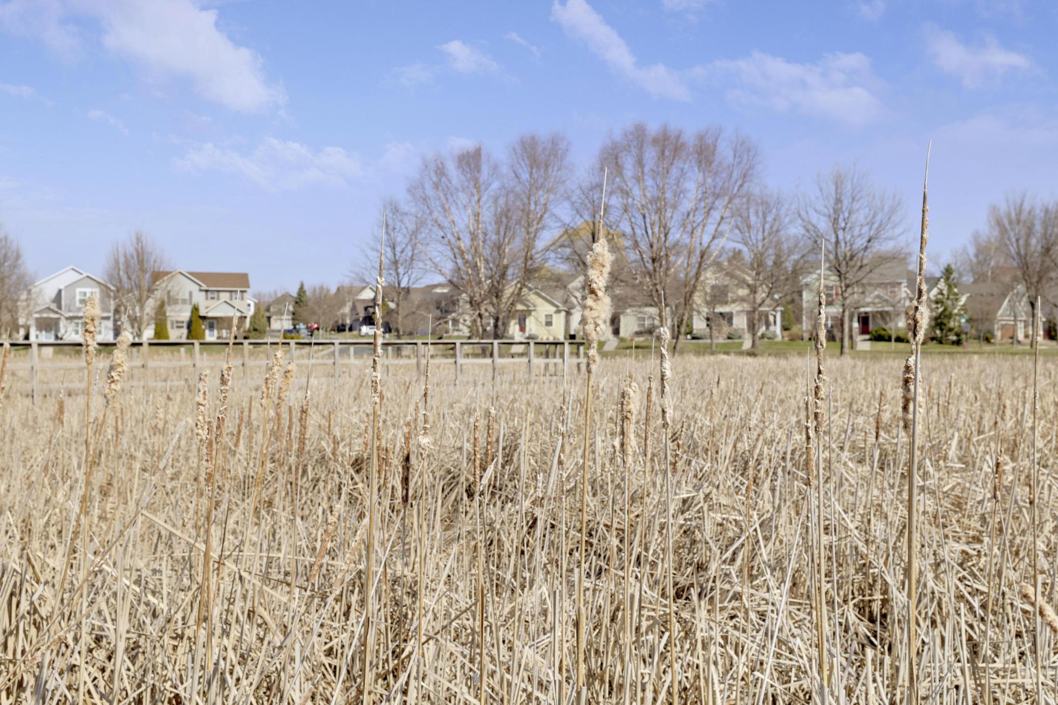 114200 Hundertmark Road, Unit 411 Chaska, MN 55318 - Photo 25 of 26