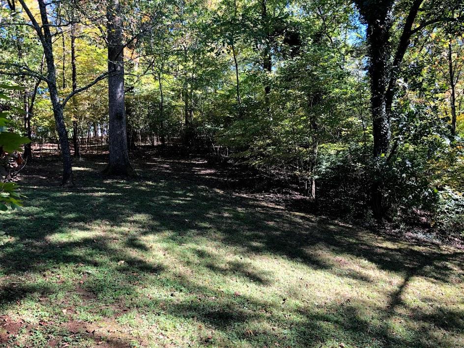 823 West Outer Drive Oak Ridge, TN 37830 - Photo 38 of 40 Back Yard