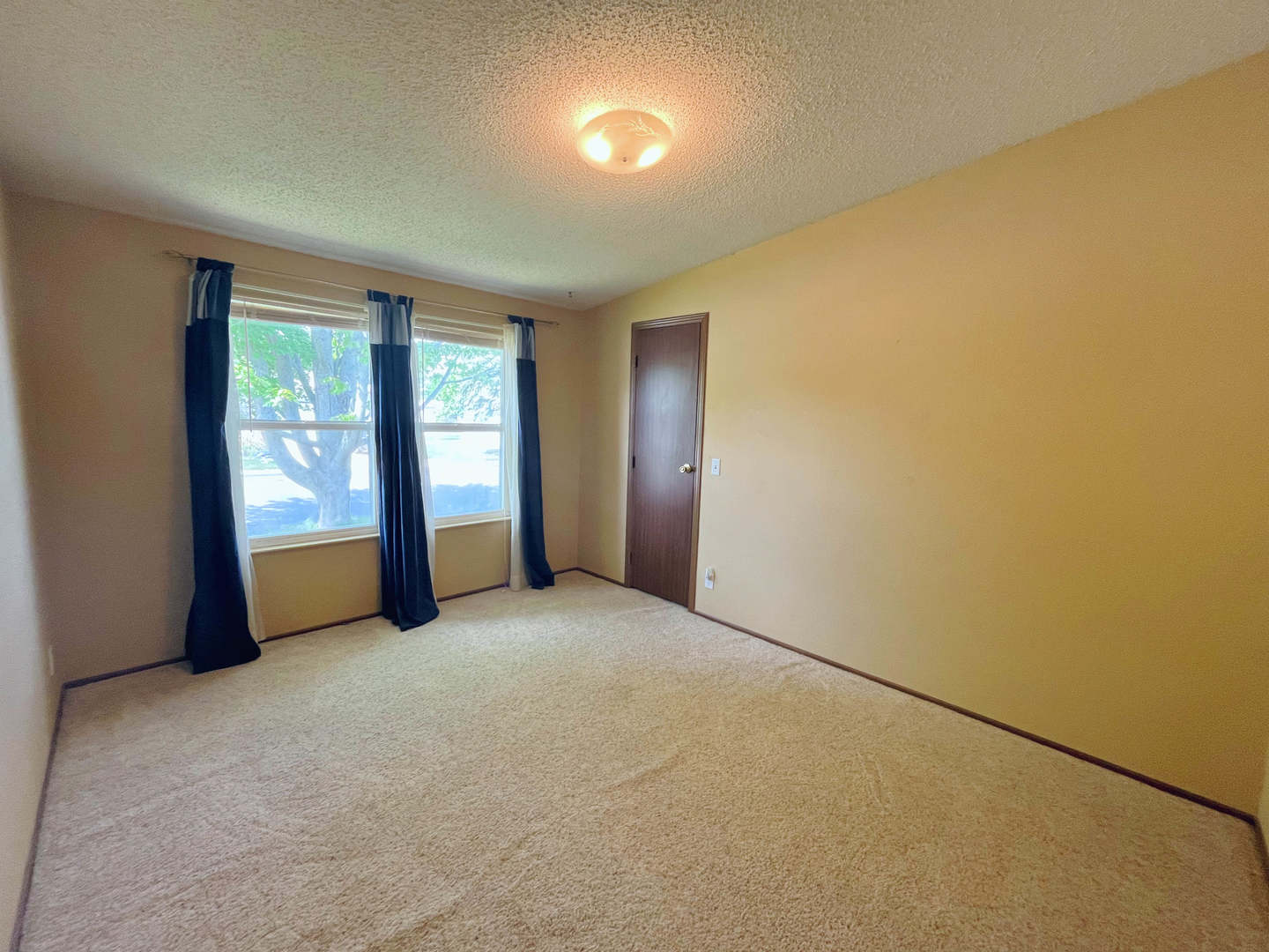 113 Cardinal Lane Sandwich, IL 60548 - Photo 8 of 14 an empty room with windows