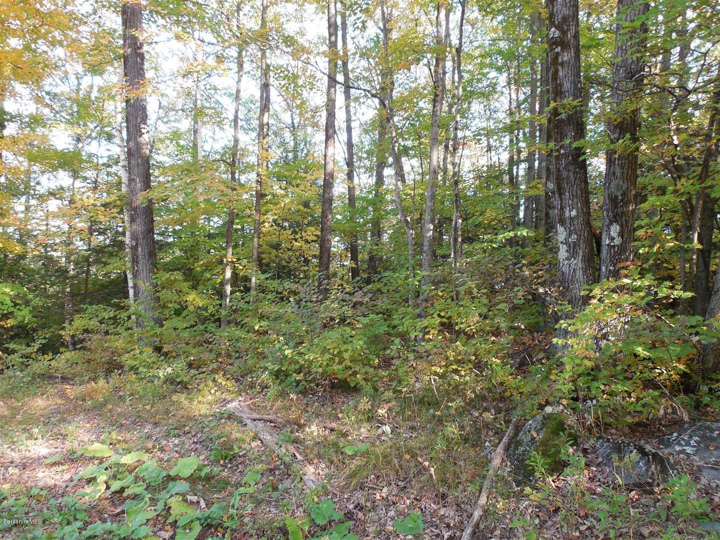 Lenox Branch Road Richmond, MA 01254 - Photo 4 of 9 DSCN0158 (Large)