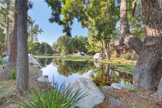 a view of a lake with a tree