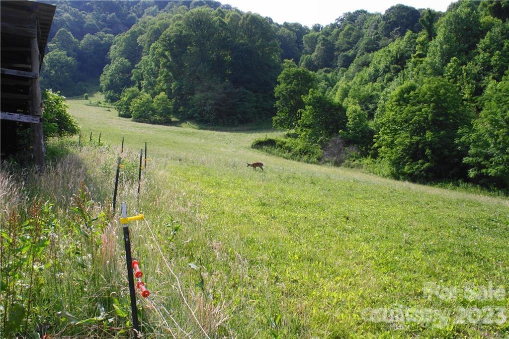 1842 South Fork Road Marshall, NC 28753 - Photo 1 of 22 Gallery Image 1