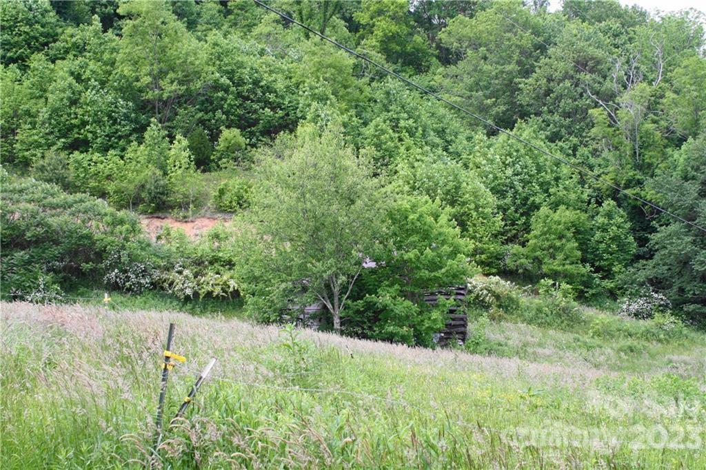 1842 South Fork Road Marshall, NC 28753 - Photo 17 of 22 Gallery Image 17