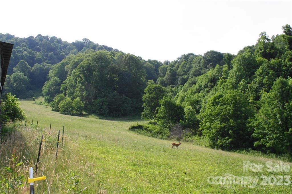 1842 South Fork Road Marshall, NC 28753 - Photo 7 of 22 Gallery Image 7