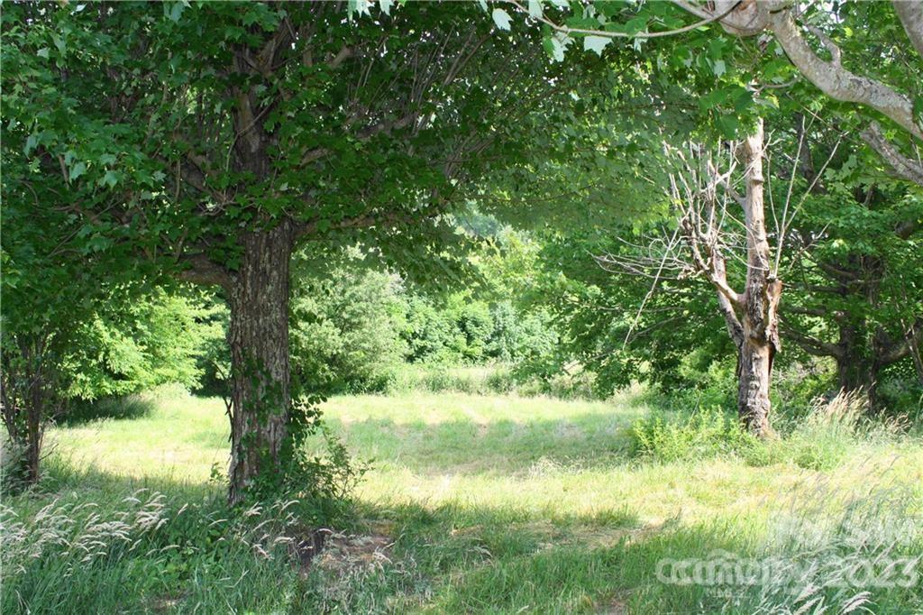 1842 South Fork Road Marshall, NC 28753 - Photo 10 of 22 Gallery Image 10