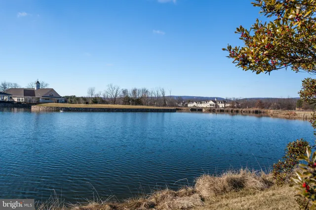 a view of a room with furniture and a potted plant