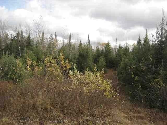 Tbd Tbd Cth Ff Mercer, WI 54547 - Photo 11 of 11 Gallery Image 11