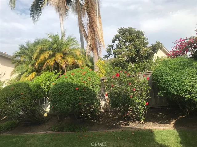 a view of a yard with palm trees