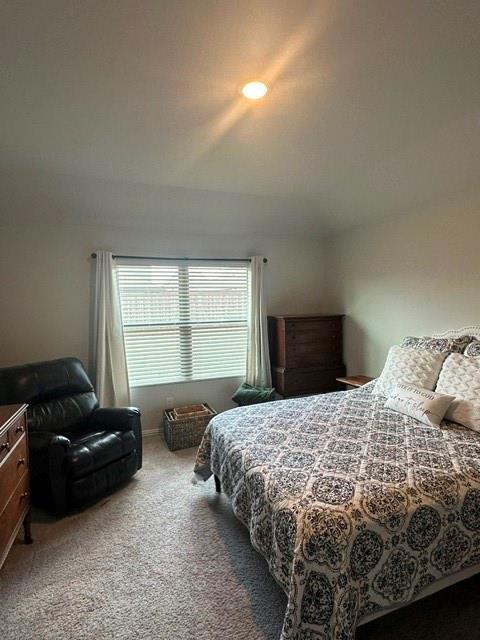 516 Hickory Rdg Drive Van Alstyne, TX 75495 - Photo 15 of 28 Gallery Image 15