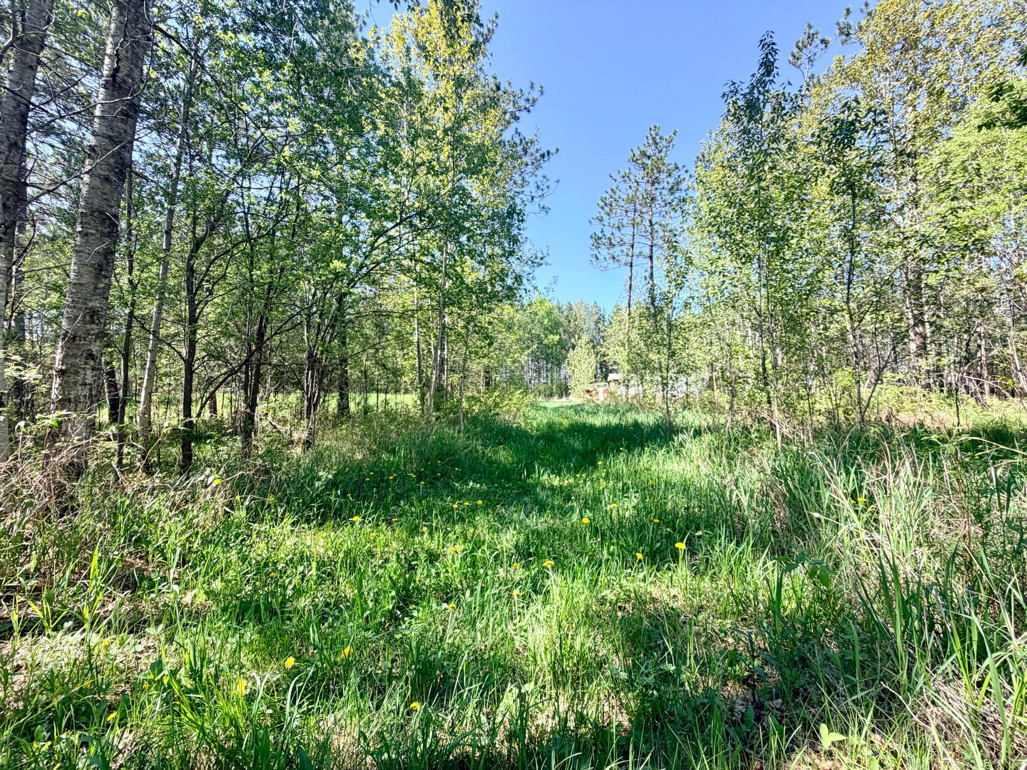 Tbd Fraser Road Iron, MN 55751 - Photo 7 of 15