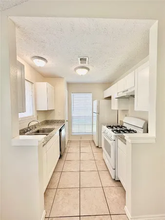 a kitchen with a stove a sink and a refrigerator