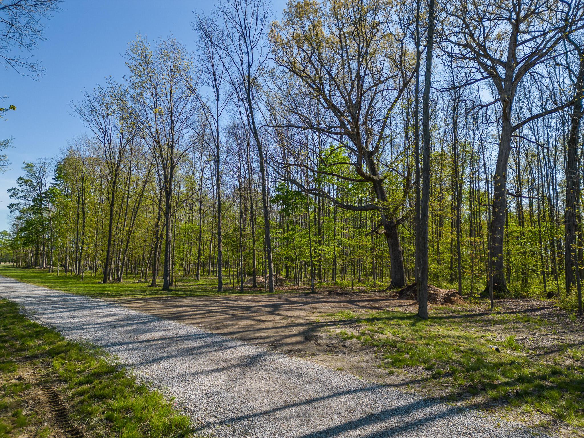 5387 Dildine Road Delaware, OH 43015 - Photo 8 of 37 6