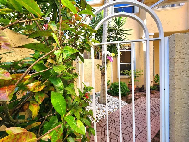 a view of a backyard with potted plants and palm trees