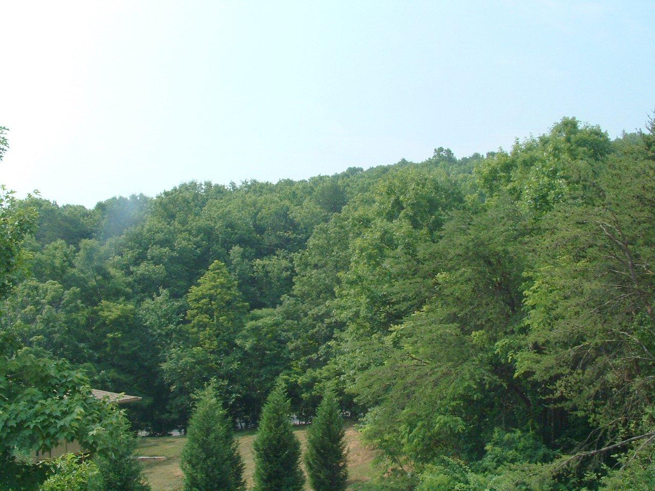 5428 Quail Ridge Circle Roanoke, VA 24018 - Photo 4 of 4 a view of a green field