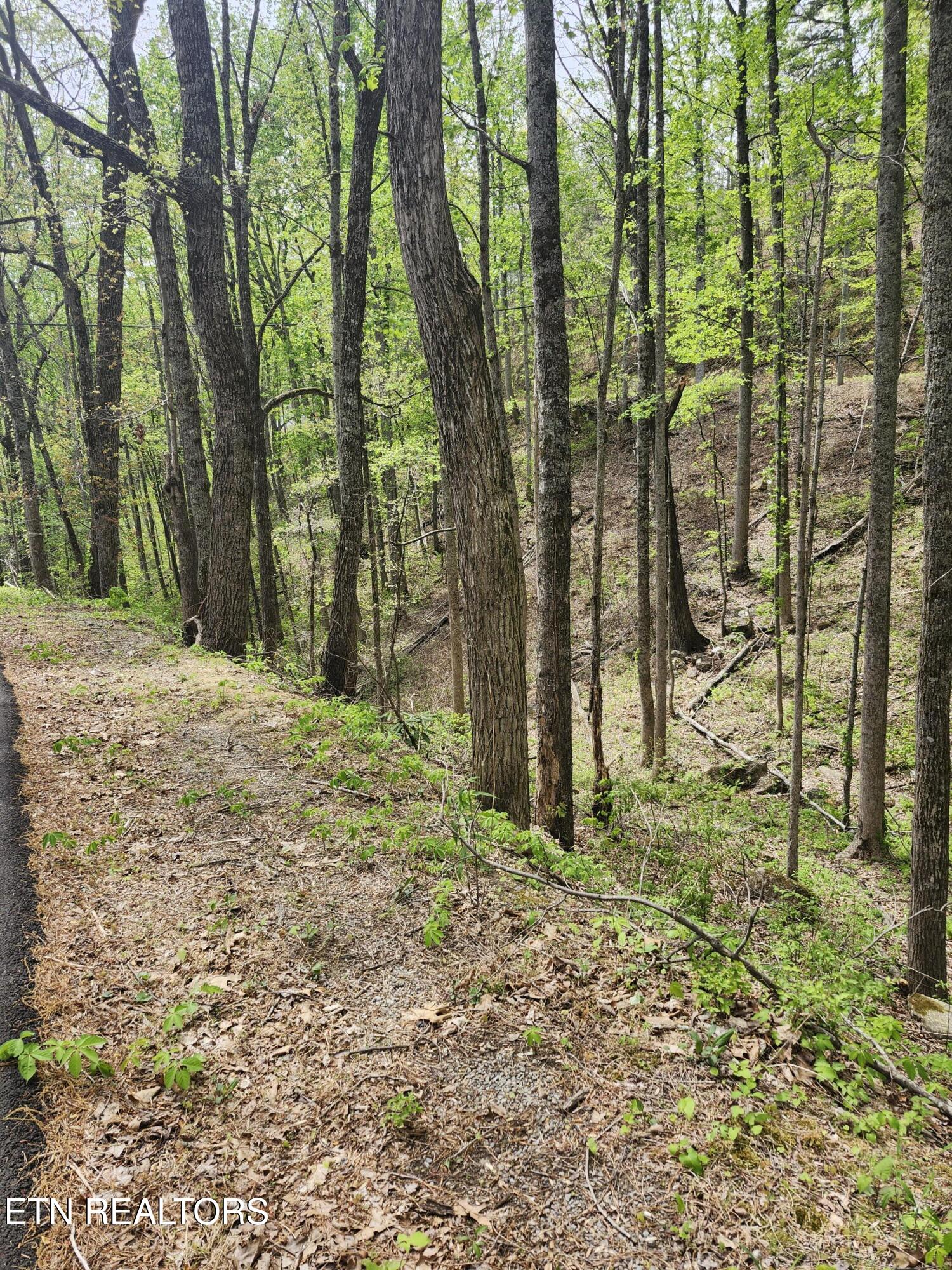 Lot 1 Hatcher Mtn Road Sevierville, TN 37862 - Photo 10 of 10 Image 10
