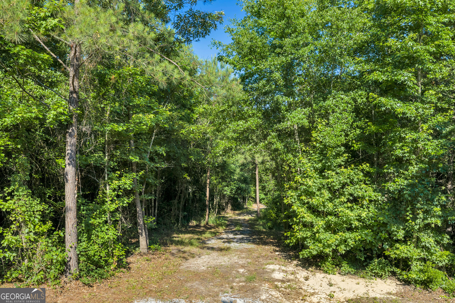 651 Branan Road Toomsboro, GA 31090 - Photo 34 of 53