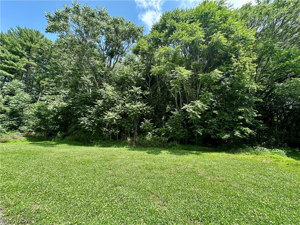 28 Richter Road Colliers, WV 26035 - Photo 30 of 38 Yard