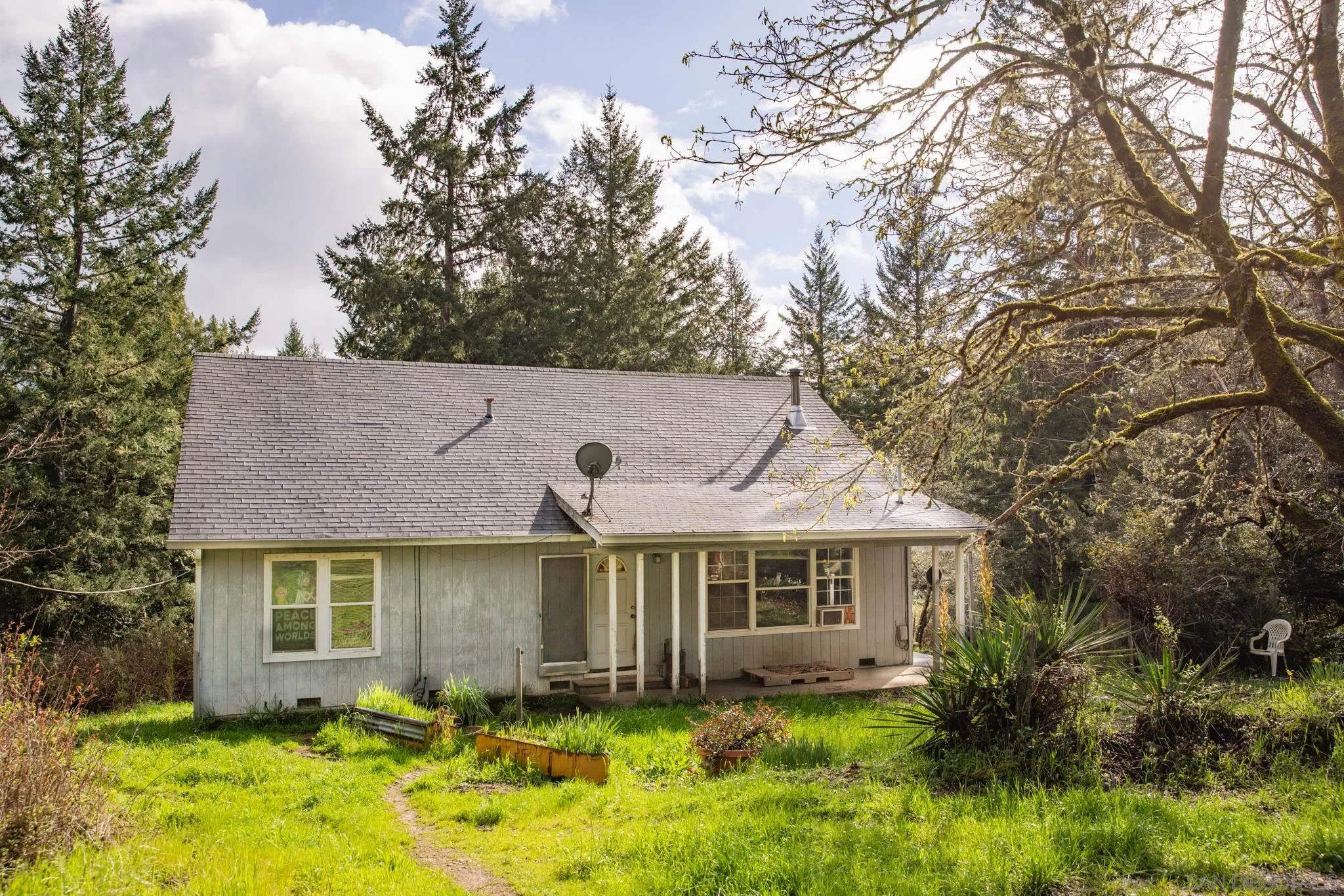 9897 Dyerville Loop Road Myers Flat, CA 95554 - Photo 1 of 24 Gallery Image 1