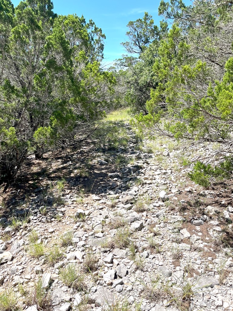 3835 Bluff Creek Road Leakey, TX 78873 - Photo 38 of 41