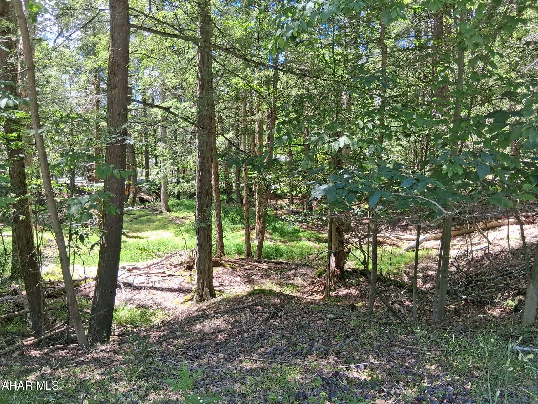 350 Kibler Lake Road Flinton, PA 16640 - Photo 7 of 13