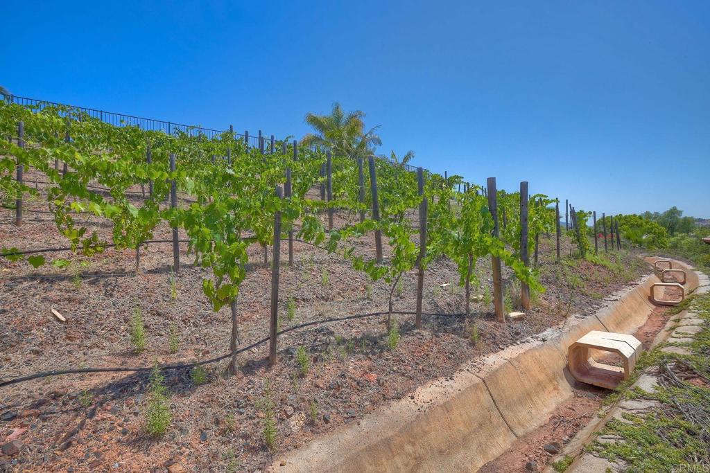 17284 Reflections Circle San Diego, CA 92127 - Photo 50 of 53 a view of a backyard with swimming pool