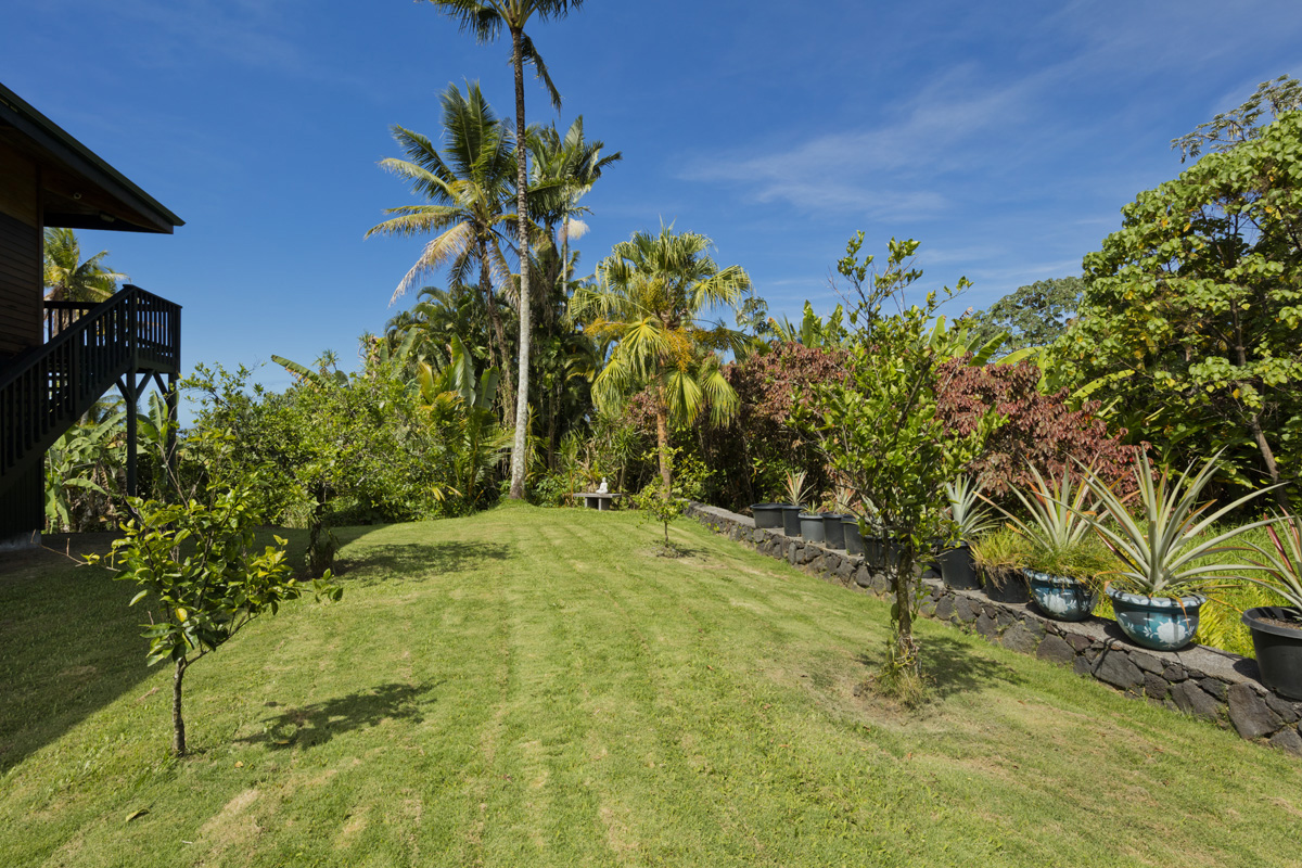 15-2817 Papai Street Pahoa, HI 96778 - Photo 6 of 30 a view of a yard