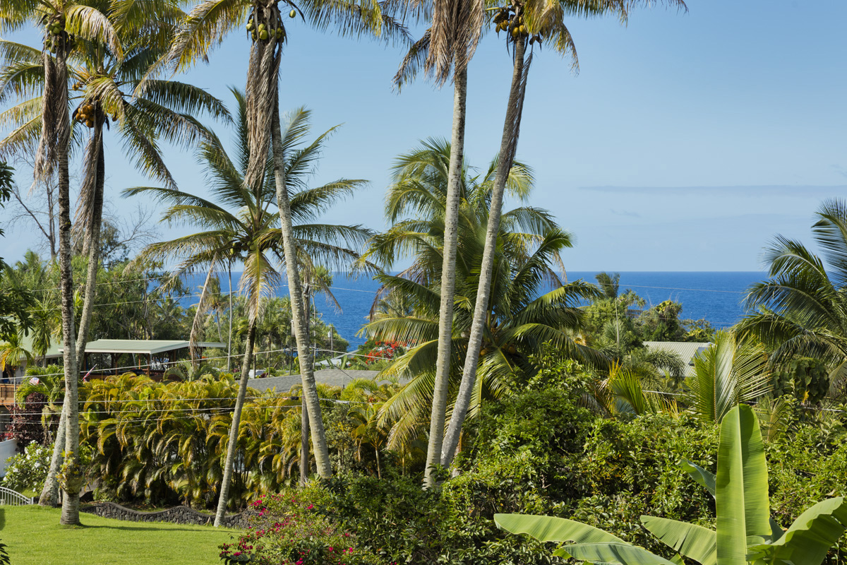 15-2817 Papai Street Pahoa, HI 96778 - Photo 7 of 30 a view of a garden