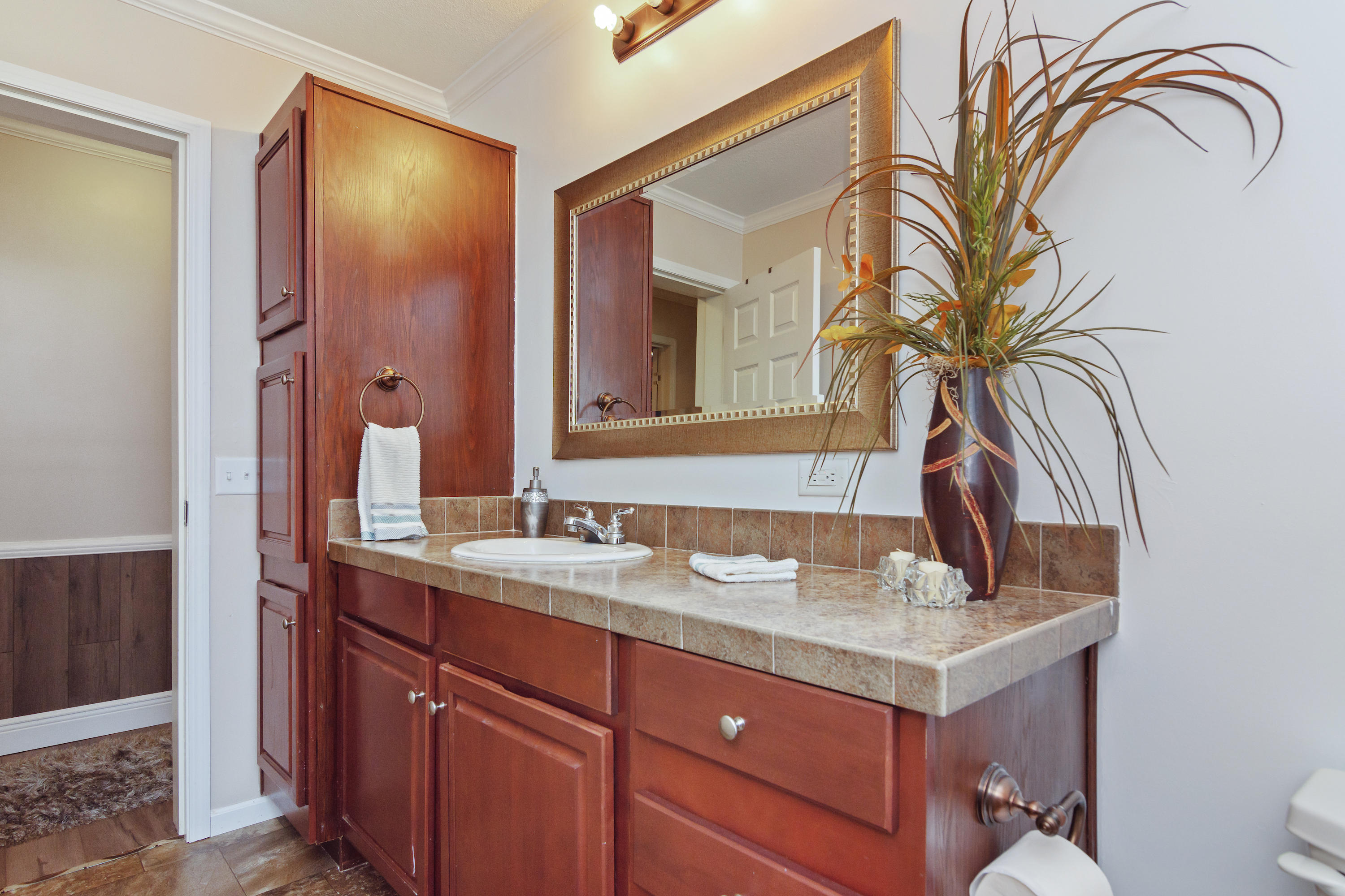 2185 Curtis Madden Road Baker, FL 32531 - Photo 27 of 41 a bathroom with a sink and a mirror