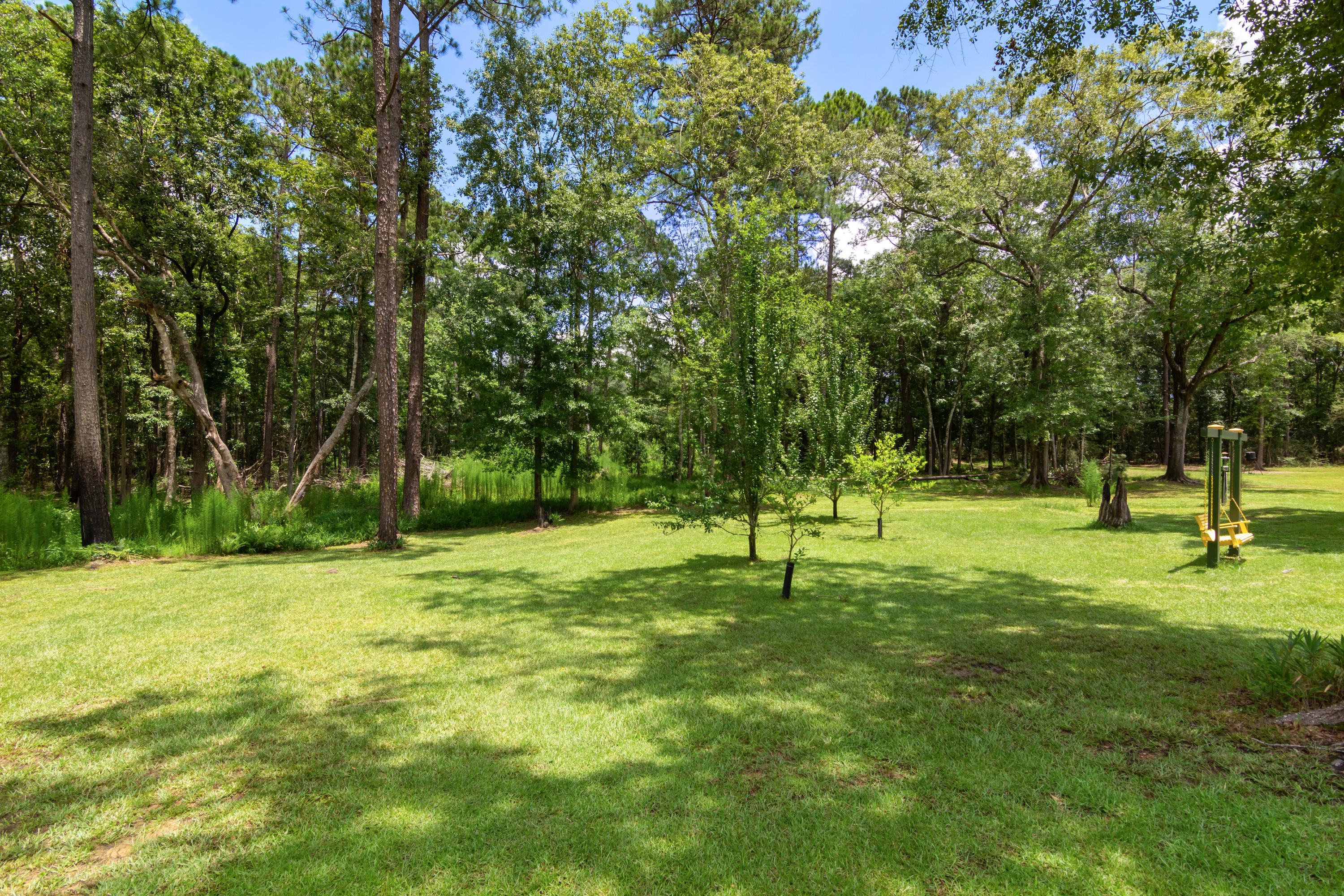 2185 Curtis Madden Road Baker, FL 32531 - Photo 34 of 41 a view of a trees in a park