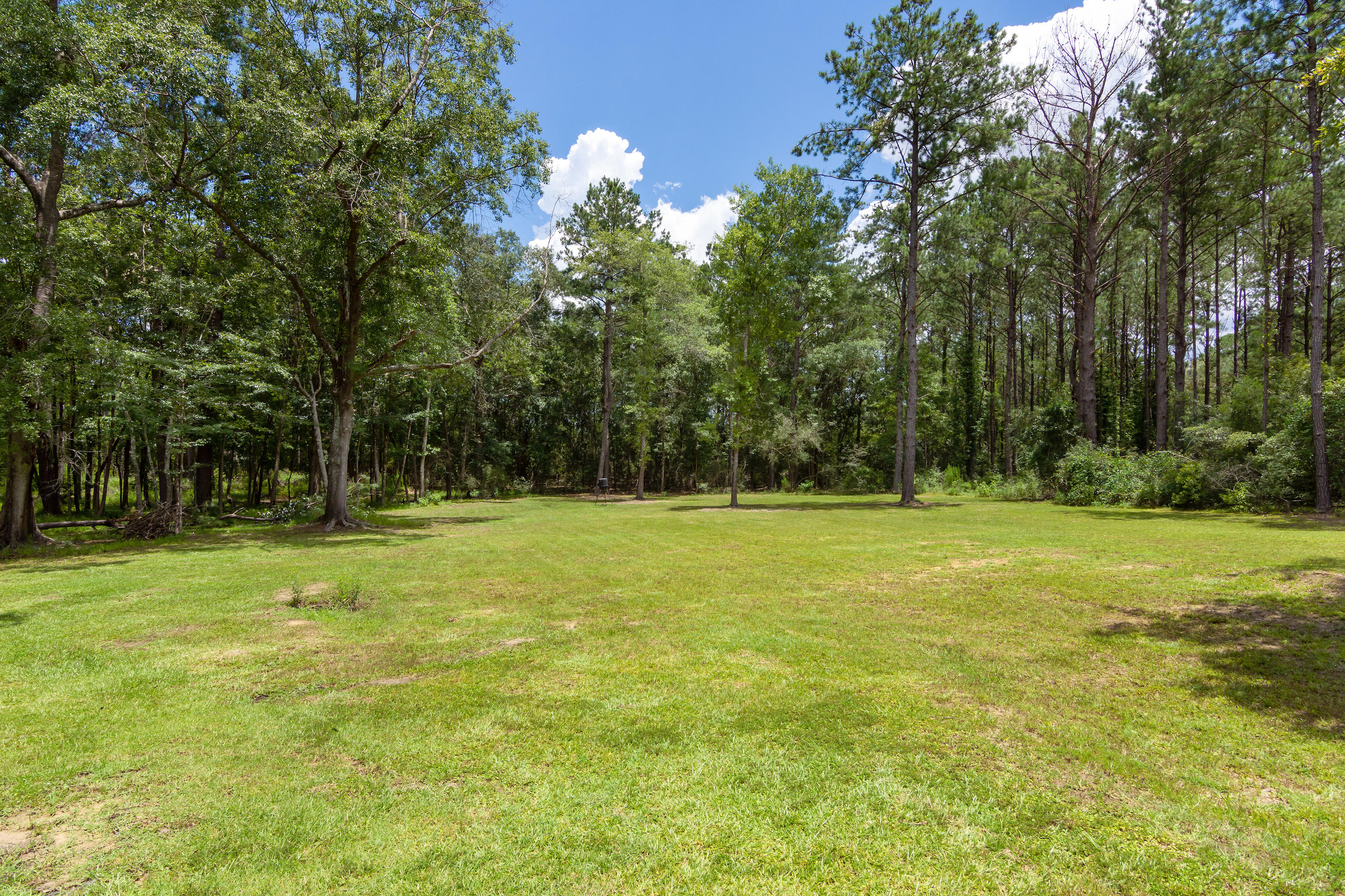 2185 Curtis Madden Road Baker, FL 32531 - Photo 35 of 41 a view of a trees in a yard
