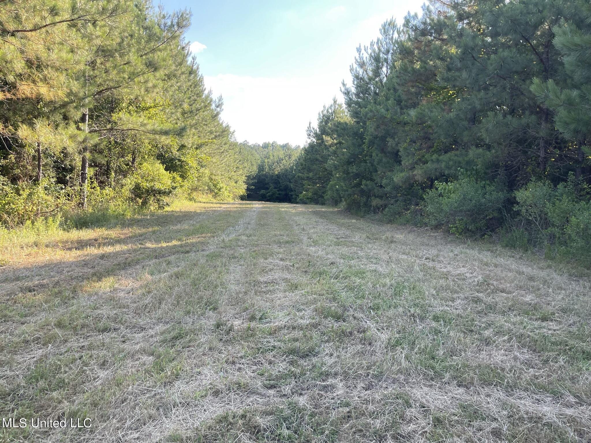 Seale Road Roxie, MS 39661 - Photo 14 of 59 IMG_5325