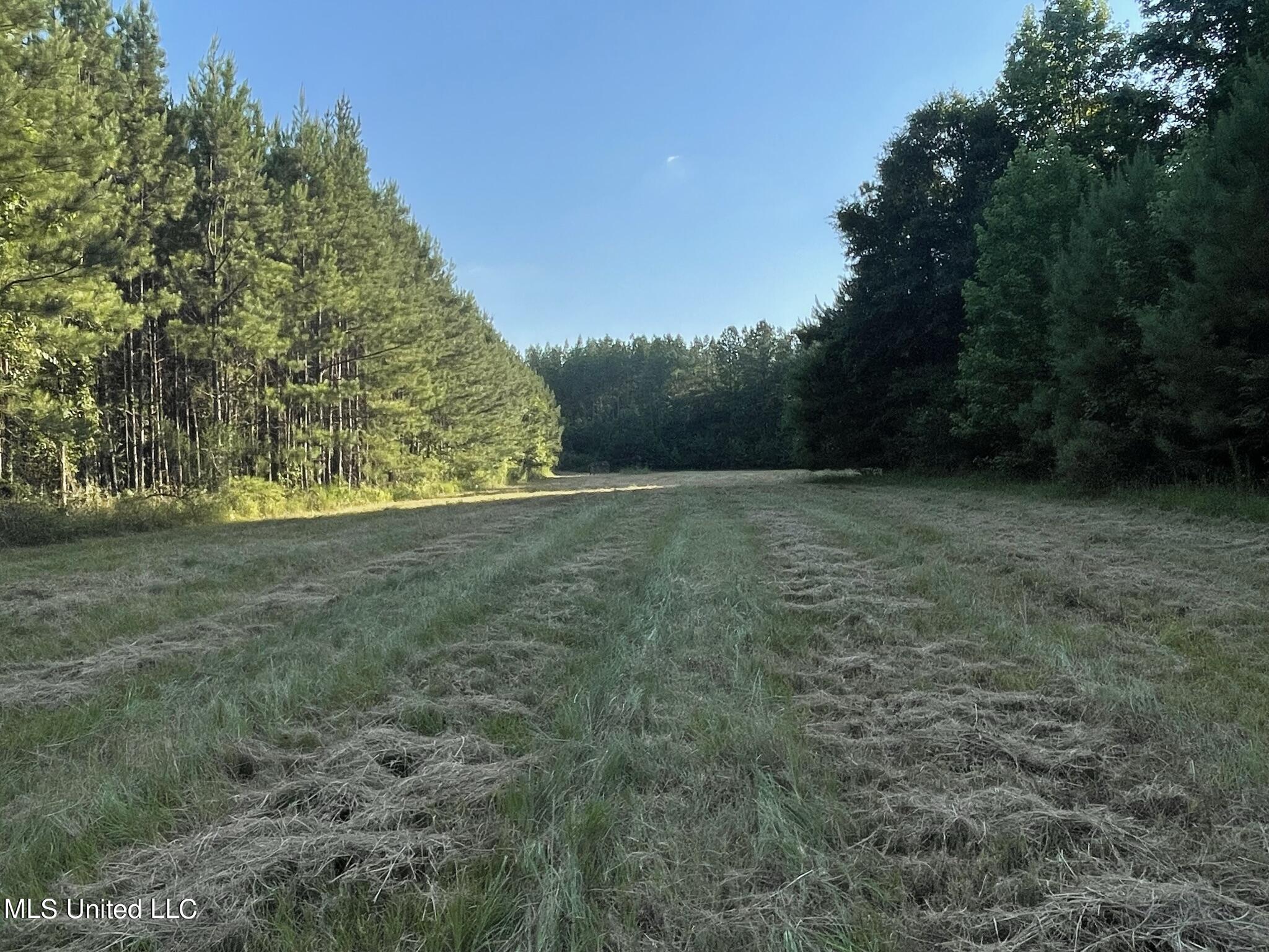 Seale Road Roxie, MS 39661 - Photo 21 of 59 IMG_5332