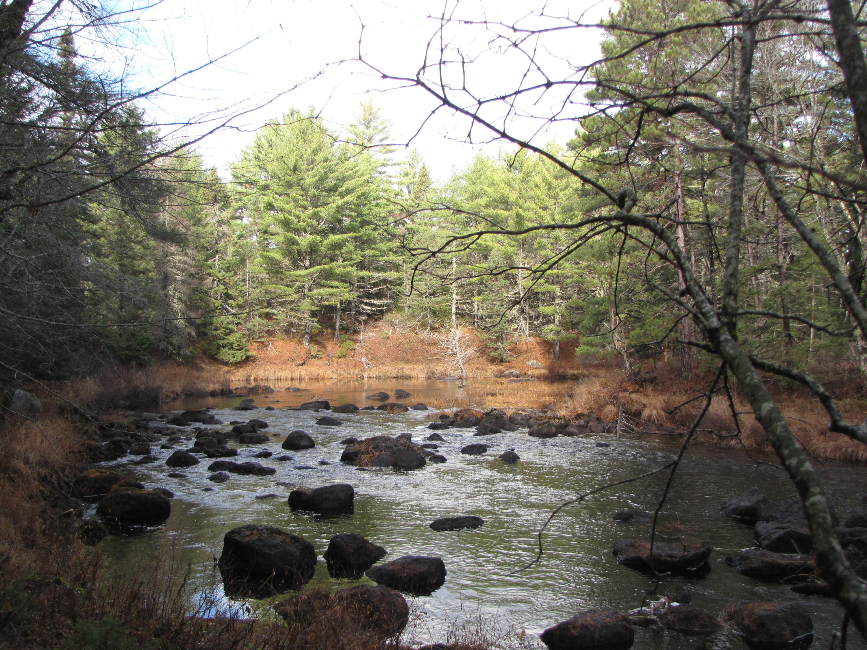 X X Off Ccc Road Machias, ME 04654 - Photo 13 of 57 IMG_1613