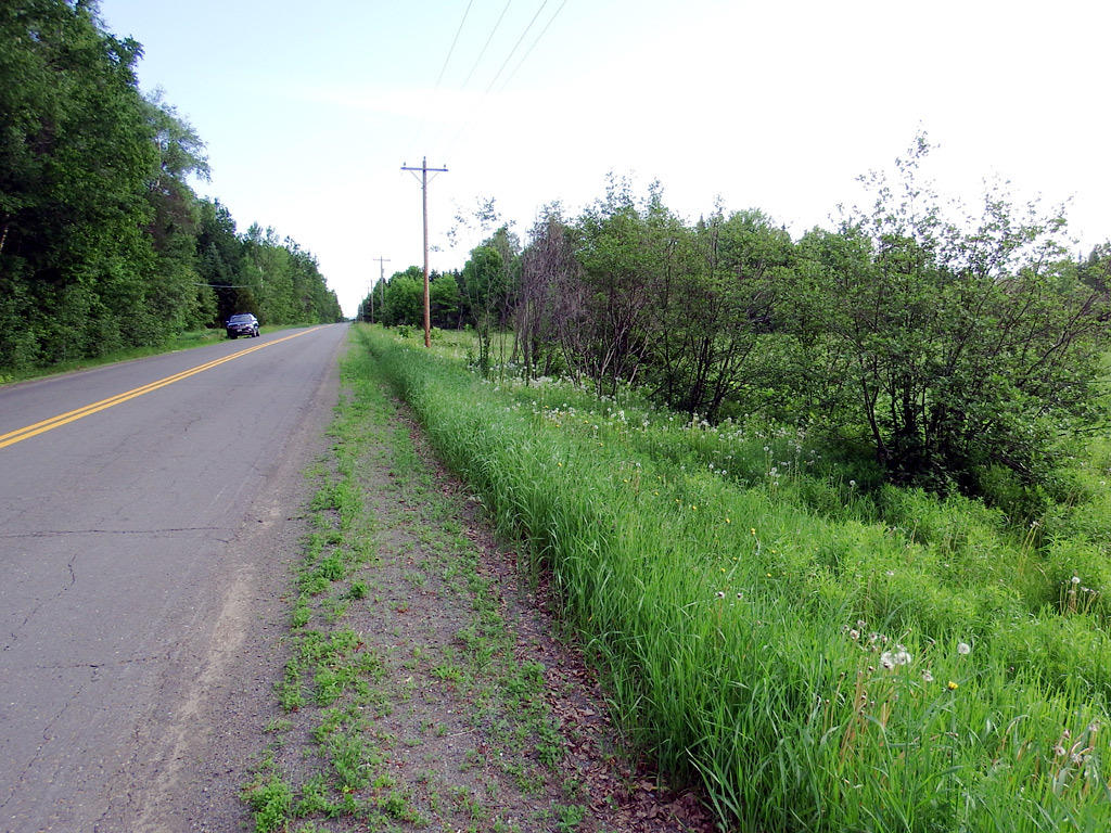 Lot 12 New Limerick Road Houlton, ME 04730 - Photo 8 of 32 maine-farms-linneus