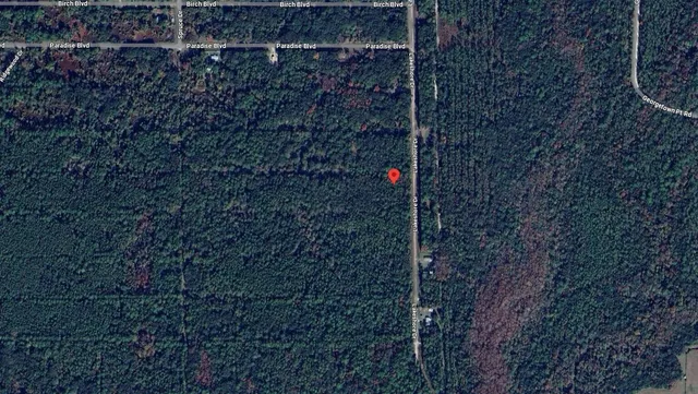 $8,499 | 339 Chipola Drive, Georgetown, FL 32139
