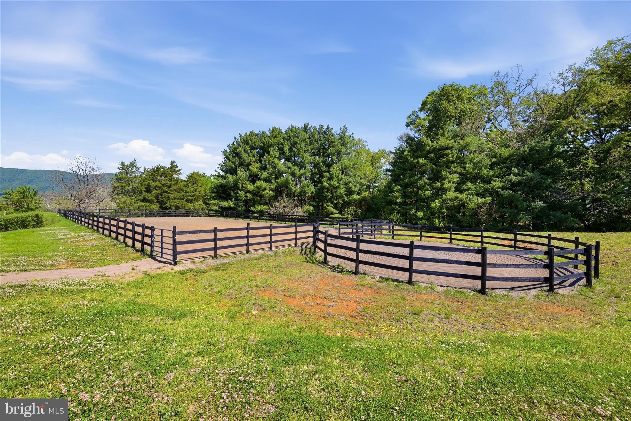 338 Springfield Estates Drive Rileyville, VA 22650 - Photo 4 of 99 Riding Arena