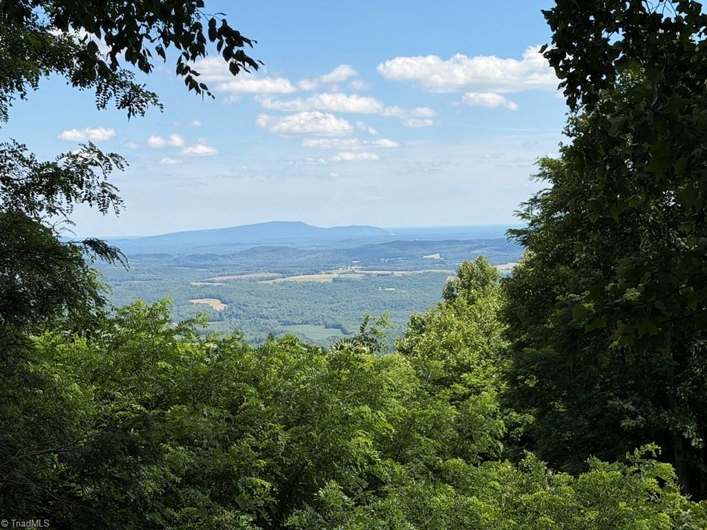 794 Rhododendron Road Hillsville, VA 24343 - Photo 19 of 27